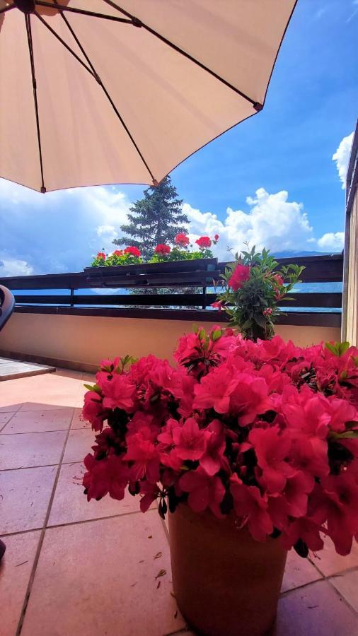Nora S Home 4 - Panoramic Terrace & Bio Garden Merano Exteriér fotografie